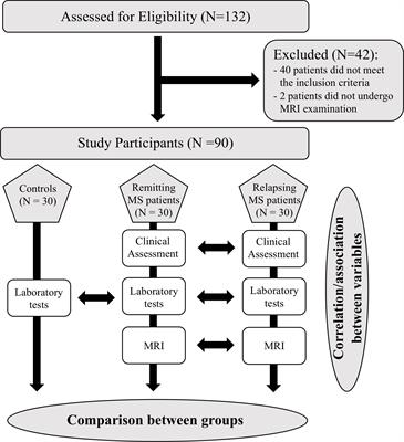 Tissue factor as a potential coagulative/vascular marker in relapsing-remitting multiple sclerosis